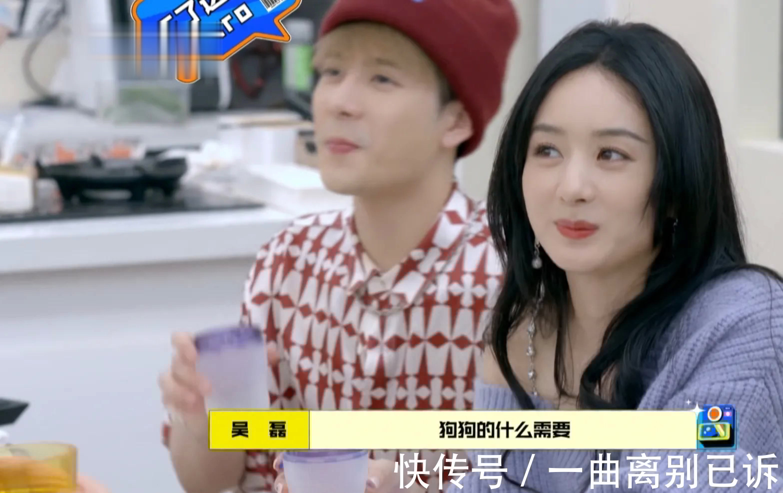 王灿|《拜托了冰箱》狗界新星小北综艺首秀，吴磊化身经纪人狂拉业务