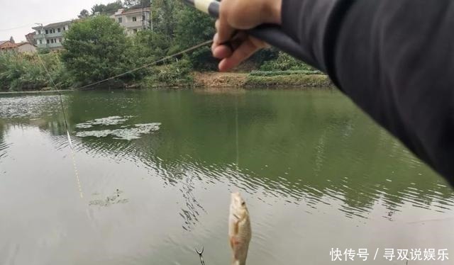 野钓别只用伊势尼!想大小通杀,还是这几种鱼钩效果更好