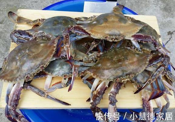 普通朋友|立秋之后，不管有钱没钱，这3种海鲜都要多吃，新鲜美味又便宜！