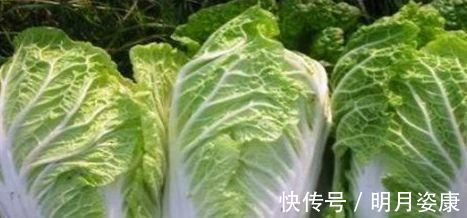 青果|女性想要身体好,常吃3种食物,补充营养,延缓衰老,滋补身体