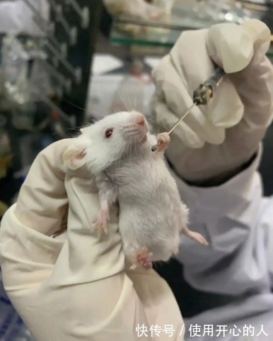 小姐姐|囧图丨老兄你XP也太怪了