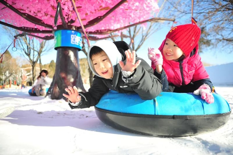 金银木|今年初雪落满山东，齐鲁雪乡首现雾凇！