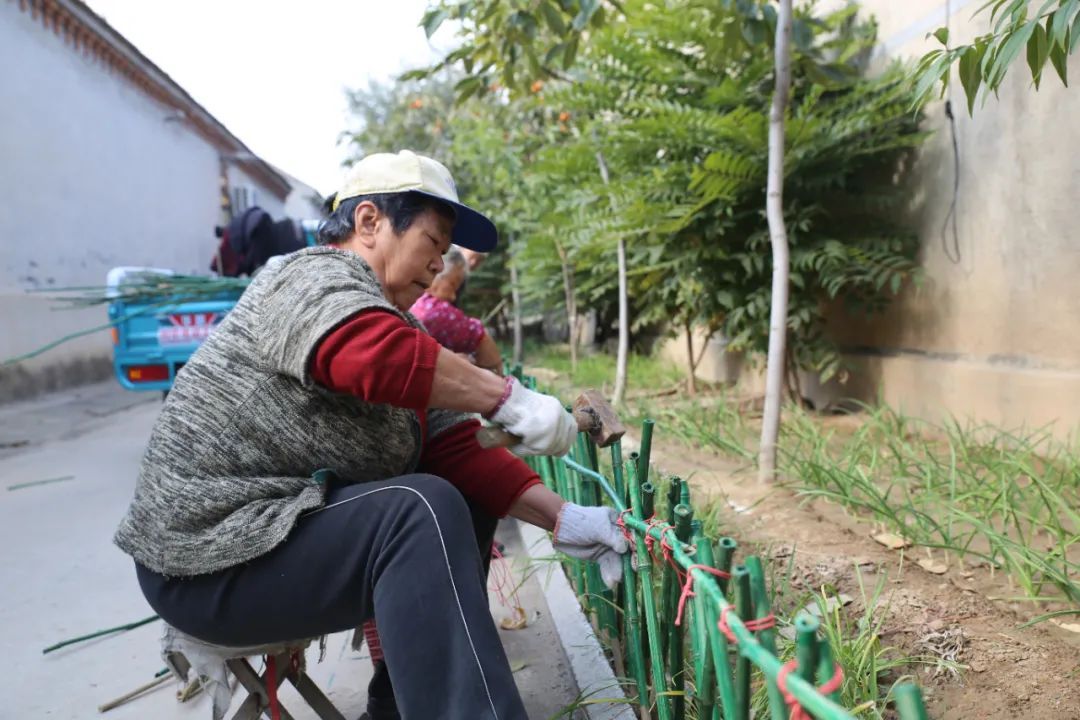 台子|台子镇：周末不休，全民动手提升城乡颜值