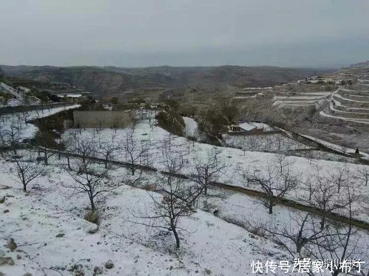 沙漠水：初春的小雪