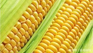 食物|患上子宫肌瘤要淡定,6种食物坚持吃,助你活血化瘀、消除肌瘤