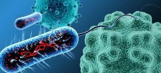 癌细胞|得了癌症仅仅靠提高免疫力能否治愈？看看大夫怎么说，来了解下