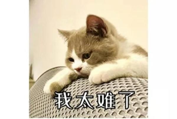 产科医生|300斤孕妈生下11斤娃！过程惊心动魄…