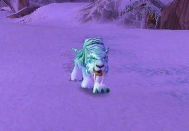 魔兽世界稀有宝宝