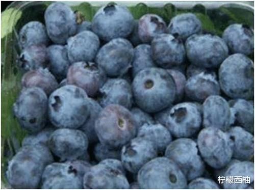 食物|怀孕后多吃这三种食物,生出孩子像娃娃那样好看,谁看了都喜欢