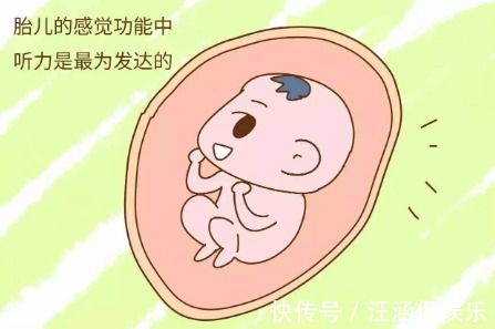 橙汁儿|子宫黑漆漆，胎儿会无聊吗这些“游戏”玩得可溜了