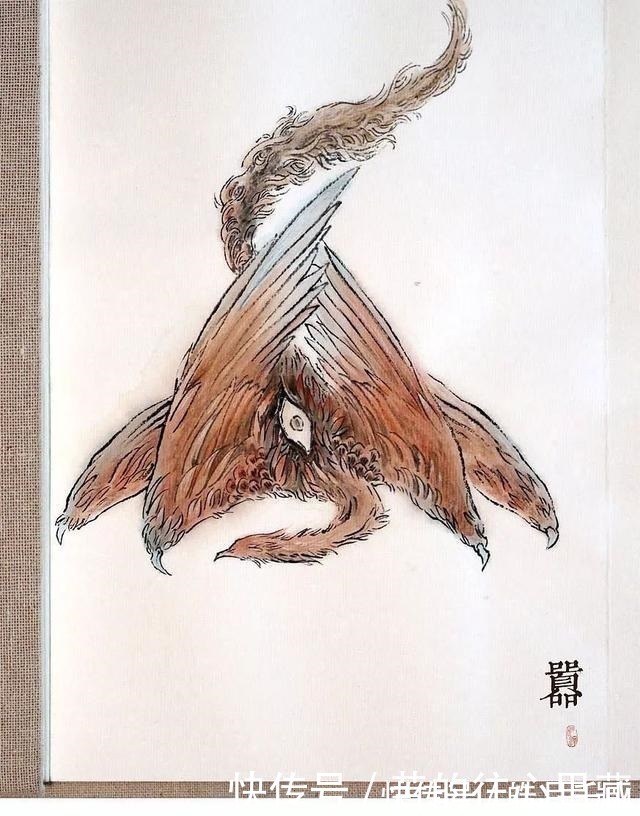 杉泽&90后画师把山海经异兽画活了,成功吸引1000多万粉