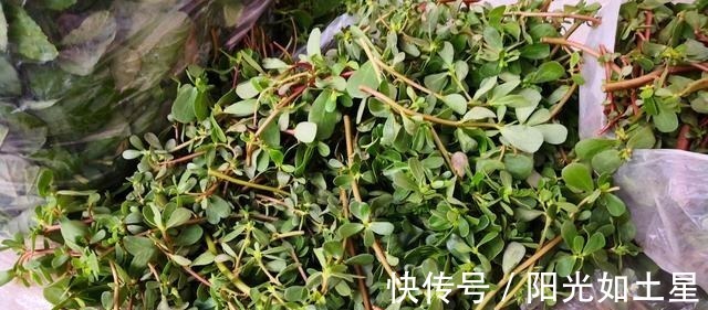 秋冬|6种不怕过期蔬菜,家里囤点从夏吃到冬,如今多买点,秋冬有好菜!