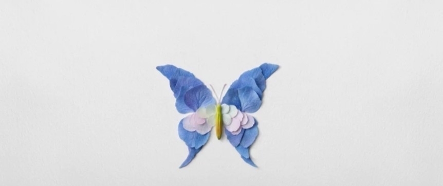 树叶$他拿花瓣、树叶随便一剪一贴就卖23万!网友:买过的人都说“值”