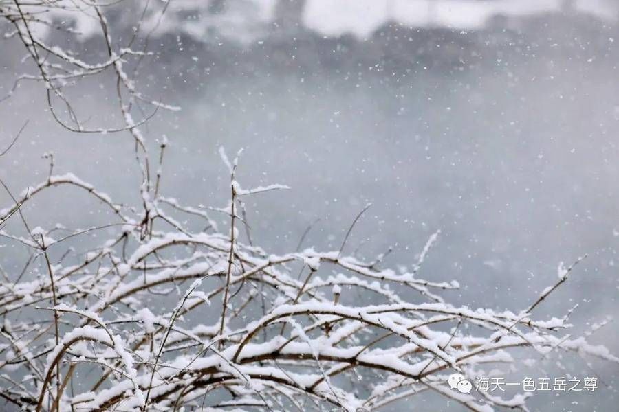 冬雪|百脉仙境｜飘然而至的冬雪，童话了世界，百脉沸腾宛若琼瑶仙境