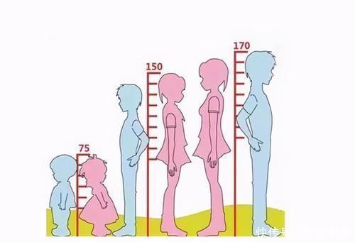 个头|孩子的头型暗示身高?以下头型的孩子,未来妥妥的大高个