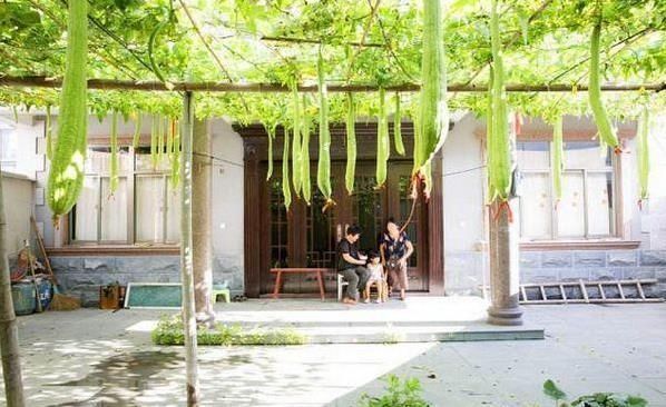 女朋友|带女朋友回家,妈妈做了4道美食,女朋友吃了赞不绝口