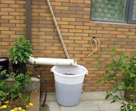 养花犯愁自己不会浇水,该怎么办用它们干透浇透轻松搞定