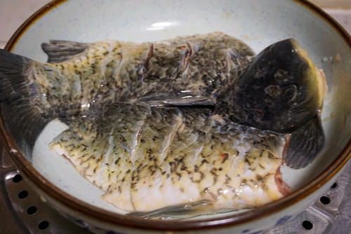 下饭|麻辣美味招牌鱼，鲫鱼草鱼都能做，软滑鲜嫩，开胃下饭，超好吃