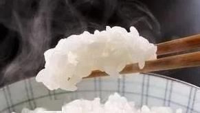 鱼类|钓鱼界公认的“万能鱼饵”,适用于任何鱼类,家家户户都有