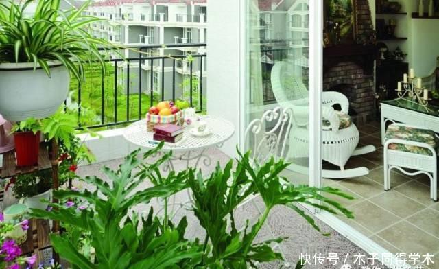 养花做好5步,新手变高手,养花不愁!