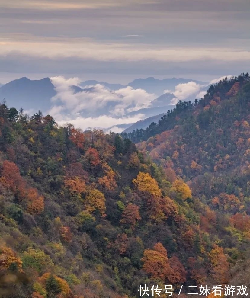 秘境|秦岭山野深处，误入雷阿诺的油画秘境