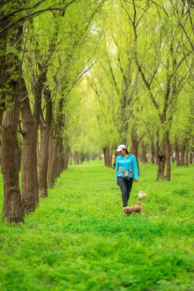 这个“五一”，来汉江边和初夏相遇