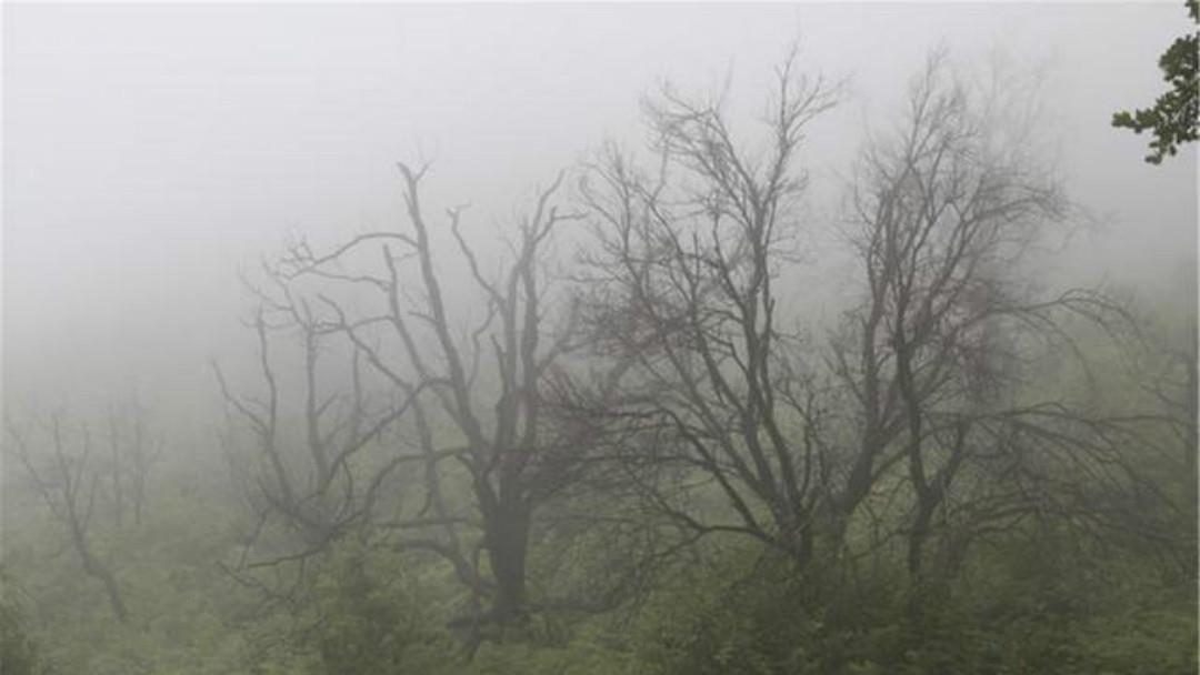 拍案叫绝|《全宋词》里最狂一首词,每一句都很狂,读来也是令人拍案叫绝