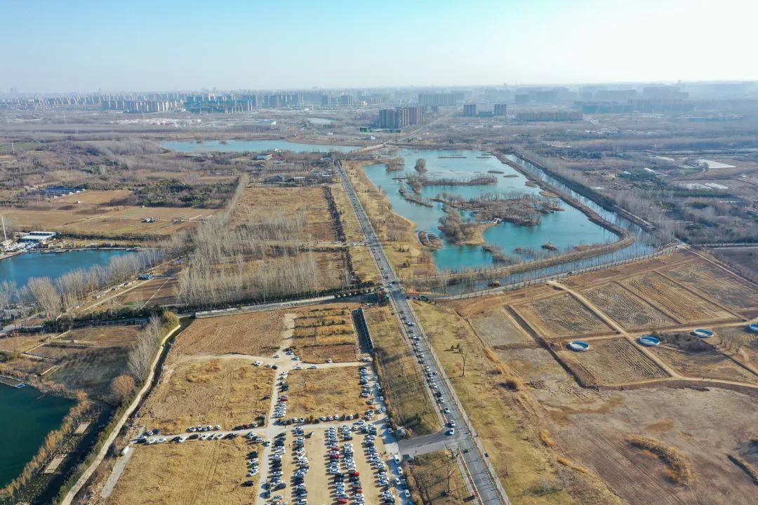 郑州|春暖花开春游时！郑州黄河湿地公园春意盎然，不少市民前来踏青游玩