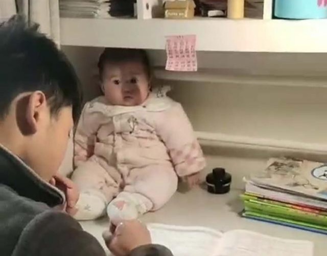 吉祥物|“吉祥物”宝宝走红,哥哥写作业把她放书桌上,妹妹表情太真实了
