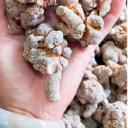 吡咯烷|4种中药别乱吃！已被医生列入伤肝“黑名单”，伤肝又伤肾