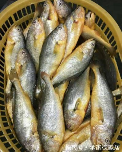 带鱼|立秋之后,记得多给孩子吃这4种鱼,钙含量高,孩子越吃越聪明!