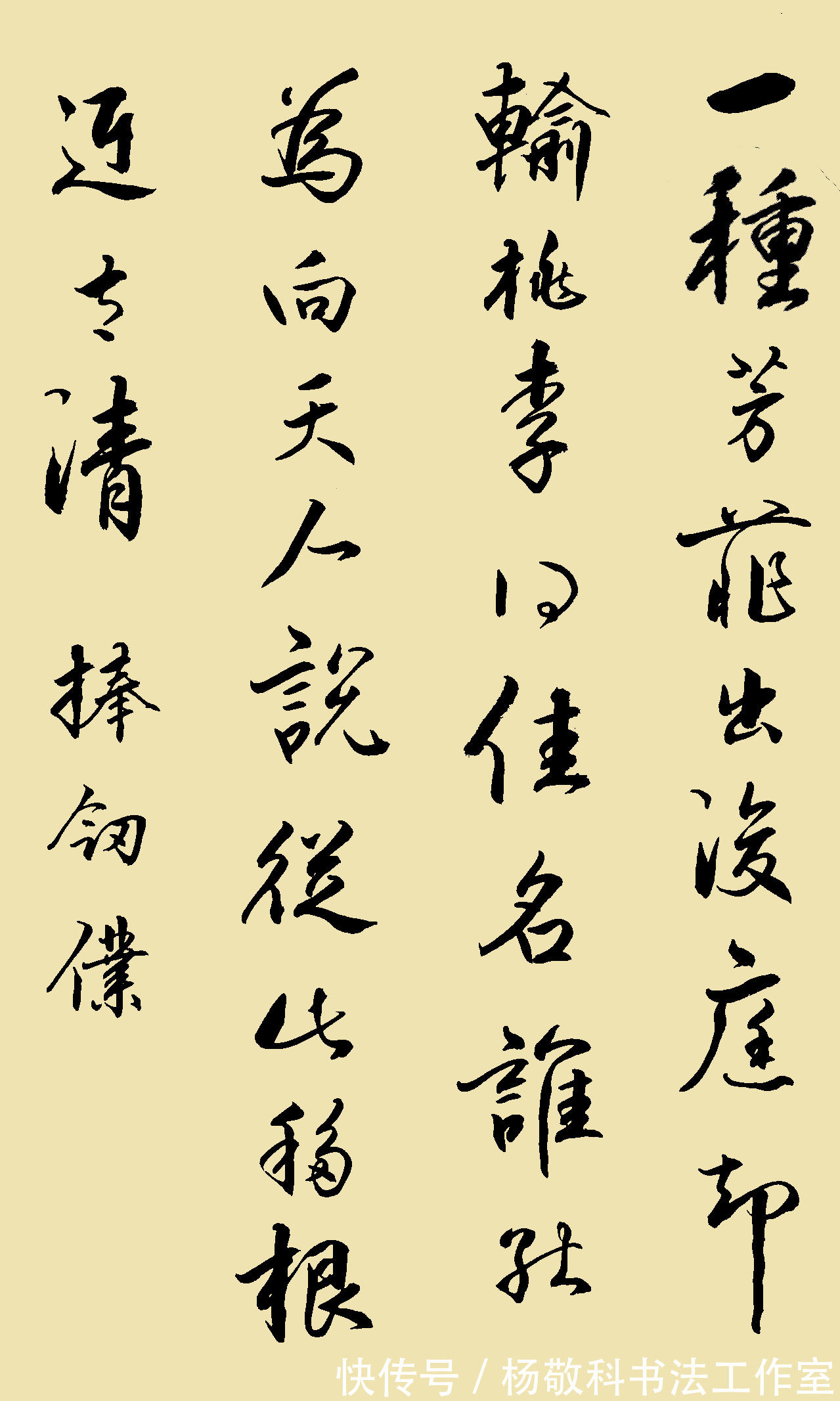 女儿红$行书牡丹系列诗(二十四)