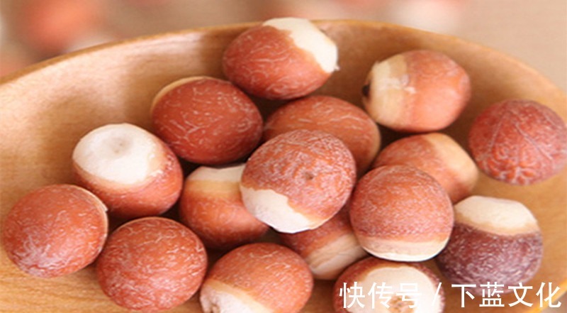 茯苓|湿气的“死对头”,不仅能够排毒养颜,还可以快速减肥瘦身