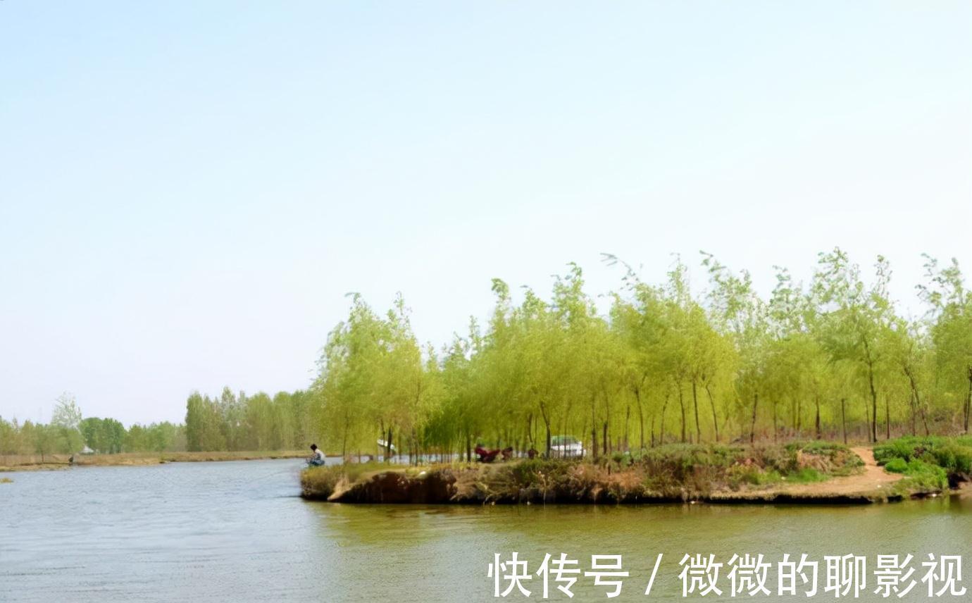 学会四钓四不钓，钓鲫鱼，易如反掌