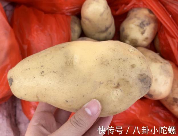 激素|打了激素的土豆怎么区分?内行人教你3招,回回买到优质土豆!