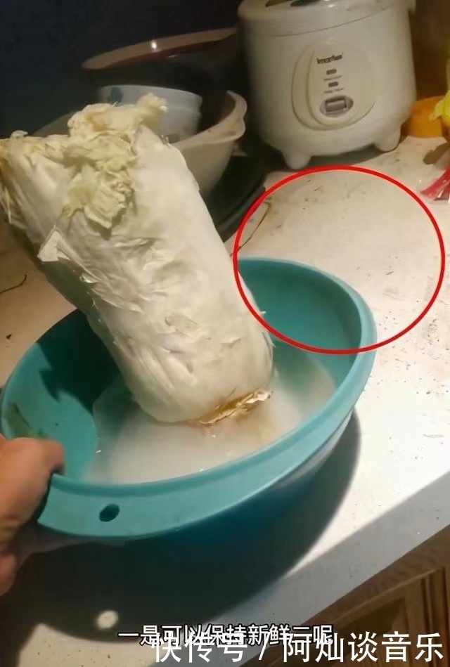 自从被封杀后,51岁阿宝的近况凄惨