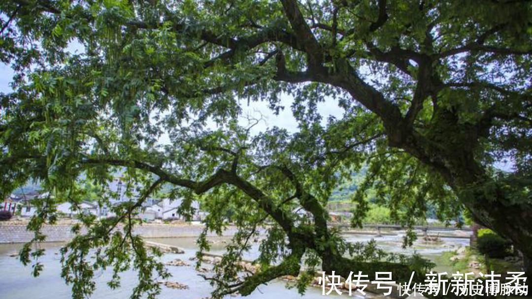 送别$王昌龄这首诗抚慰了无数游子,写得真是太好了,读来让人倍感温馨