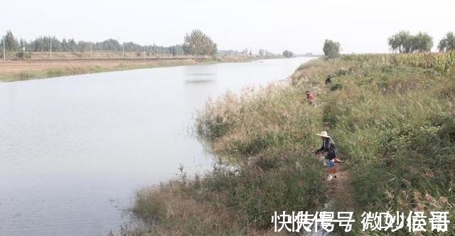 钓位|不怕小鱼的蚯蚓挂法,无倒刺鱼钩适用,秋冬野钓上鱼更多!