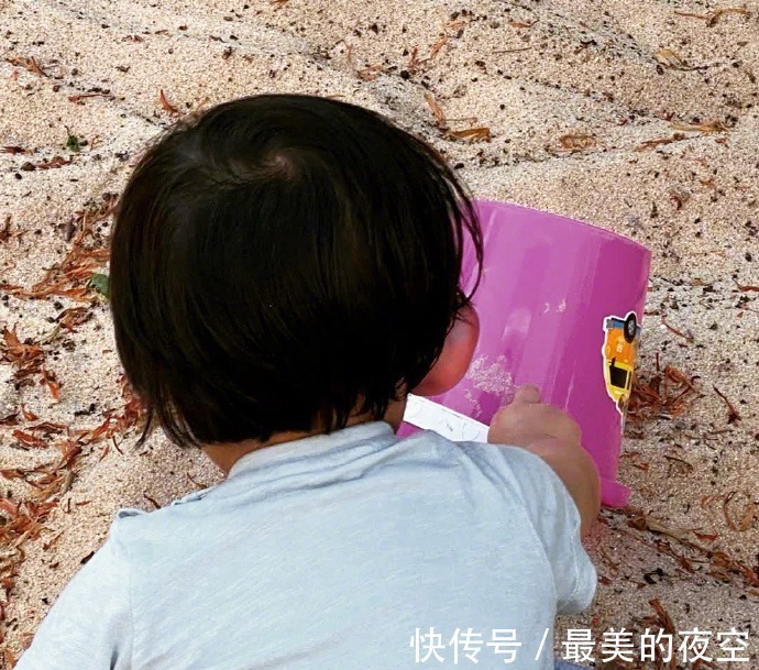 包文婧|張歆藝曬餃子和兒子玩的照片,夸餃子是個好姐姐