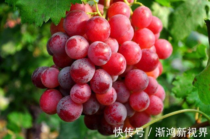 女性|女性到了中年,推荐3种食物,排毒养颜,刮油消脂,养护肠胃