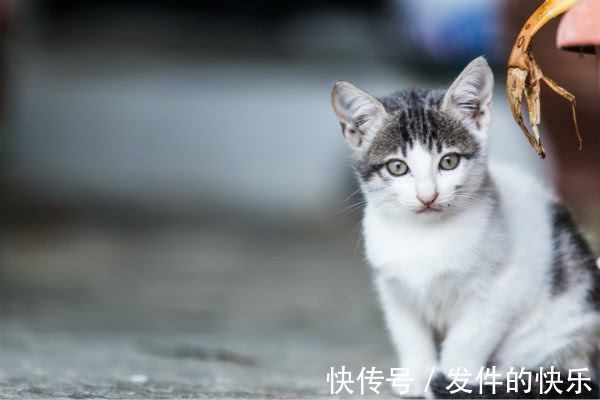 |幽默笑话:今天,我遇到了前女友,她说的话,让我胜读十年书!