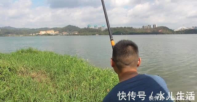 盘点几种夏天野钓的天然重窝，切记准备要大钩粗线