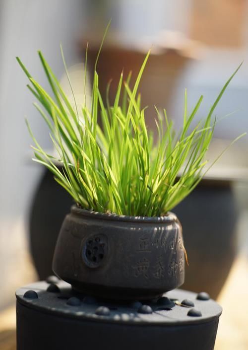 活性炭|家里不要有这4种东西,含甲醛量太高,赶紧处理了!