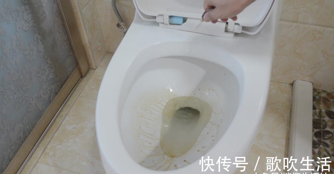 广藿香油|卫生间里放一瓶藿香正气水, 作用太棒了, 解决了很多家庭的烦恼