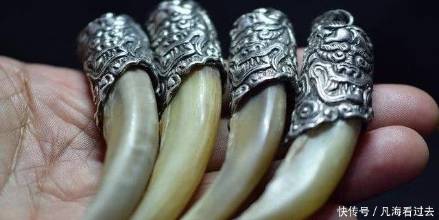 绝不|曹操设立摸金校尉,曾定下规矩:墓中一物绝不能动,否则祸及家人