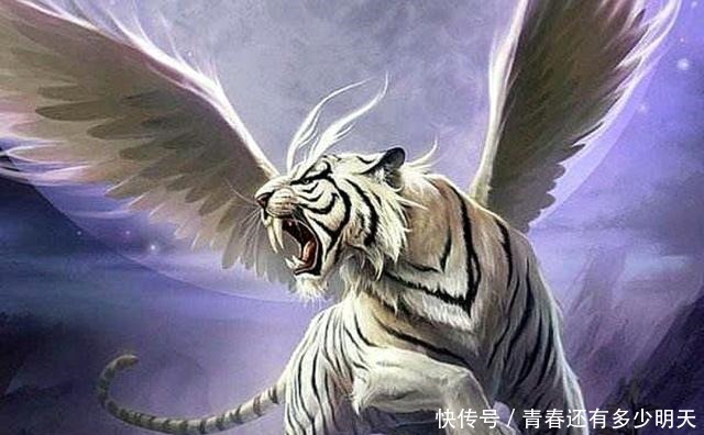 西戎|周穆王西征时带回来两头神兽,我们在《山海经》里找到了它!