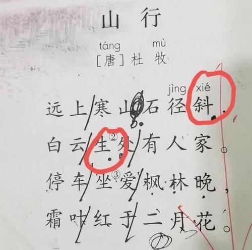 汉字|一行xing白鹭上青天,课本上读音变了,家长:怀疑自己读了假书