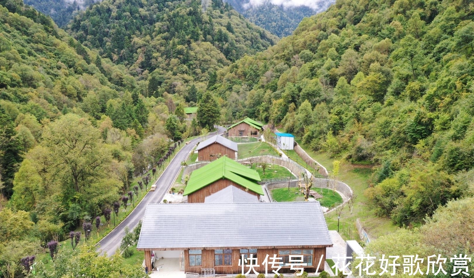 九寨沟|走进九寨新12景｜深山秘境甲勿海 大熊猫“民宿”住着4只可爱的滚滚