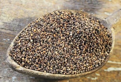 大豆|若在大豆上见到这野草,别手软,赶紧采摘回家,它种子价值很高