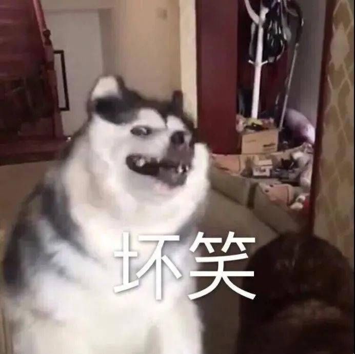词条|幸运来了千万不要嘚瑟，不然洗出七绝不修也不会让人快乐…
